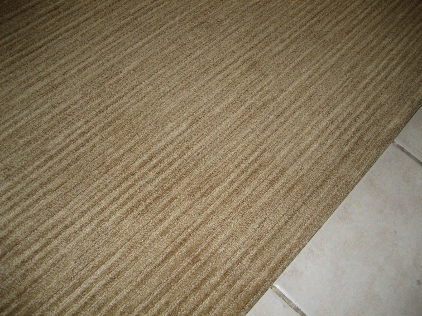 [Carpet+and+Tile+AFter.jpg]