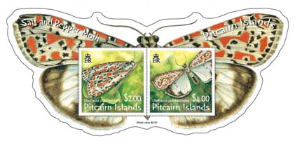 [Pitcairn_Moth.jpg]