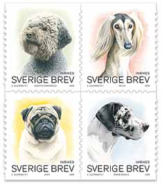 [Sweden_Dogs.jpg]