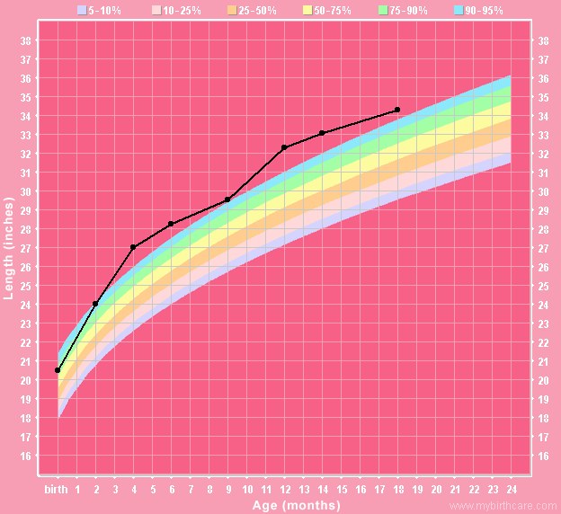 [height+chart.jpg]