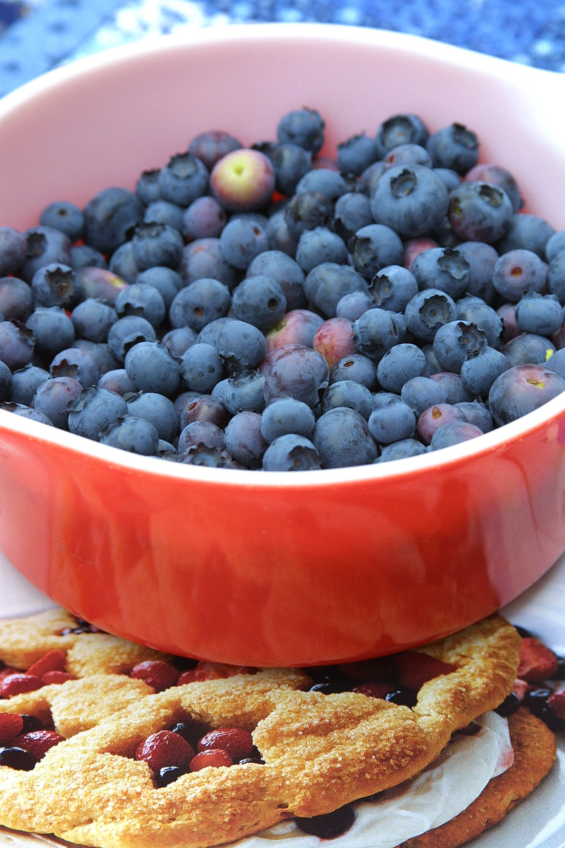 [blueberries4.jpg]