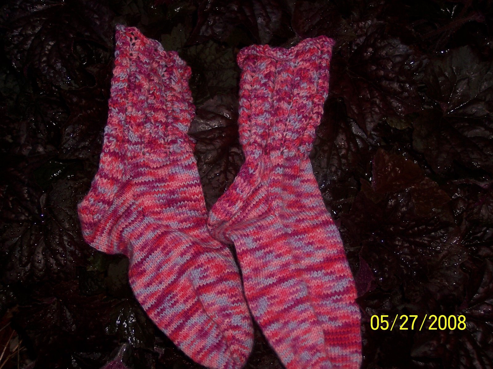 [Betsie+&+Socks+006.JPG]