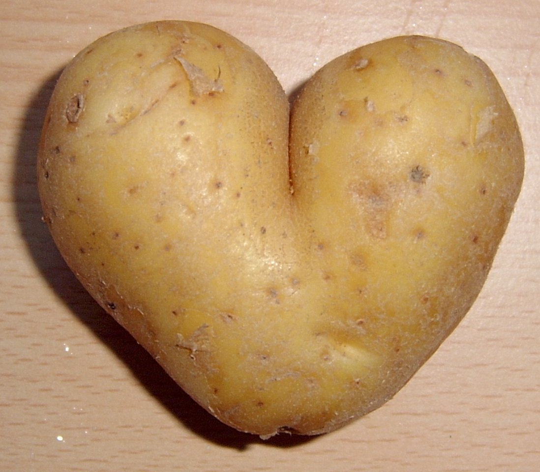 [Potato_heart_mutation.jpg]