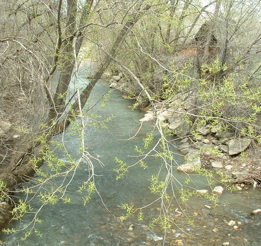 [Spring+Creek+looking+North.JPG]