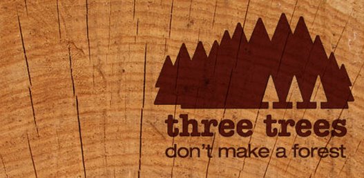 [ThreeTrees.jpg]