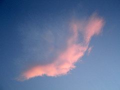 [pink_cloud.jpg]