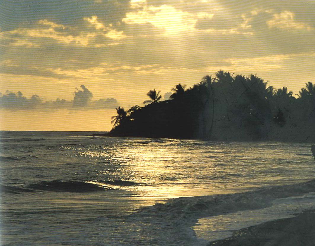 [sunset island.jpg]
