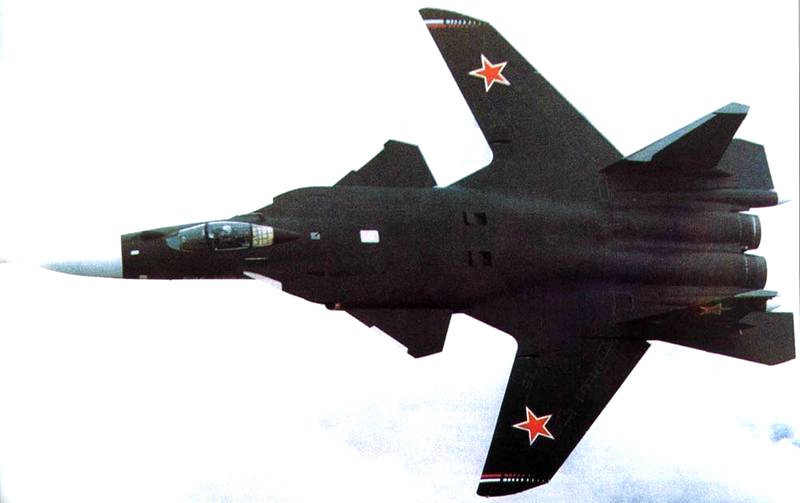 [Su-47(10).jpg]