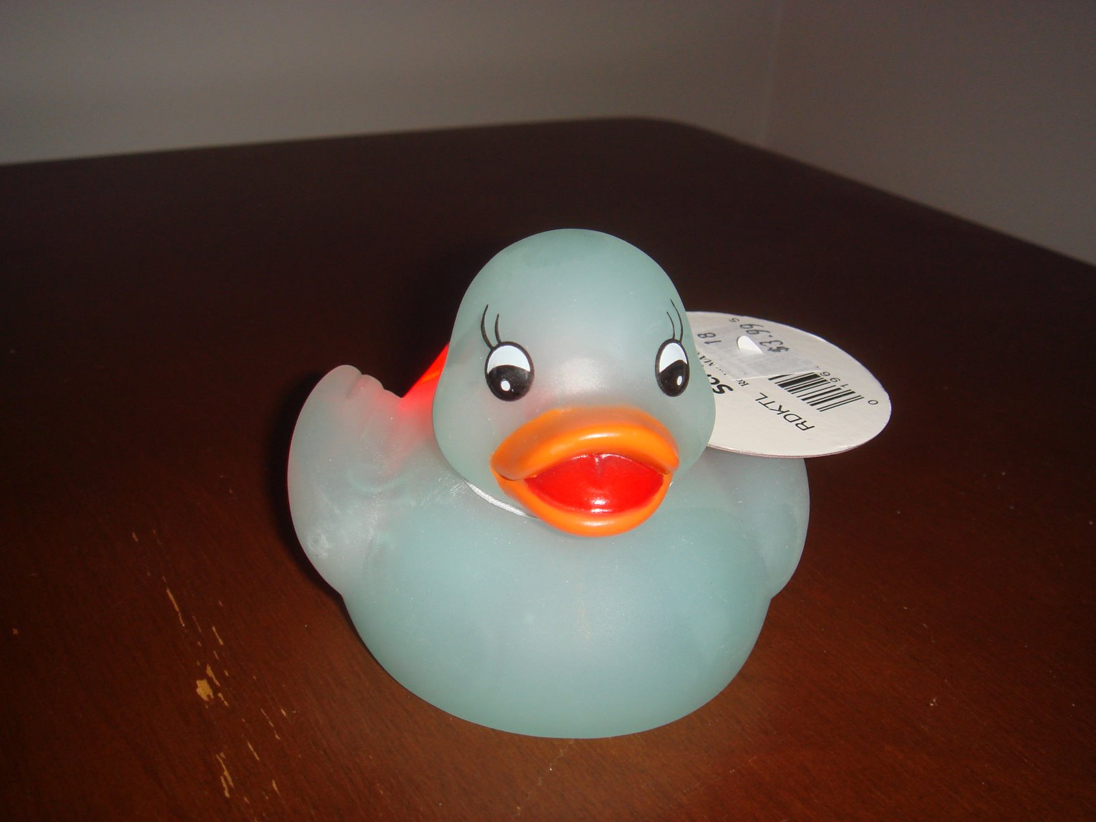 [April+13+2007+-+rubber+ducky.JPG]