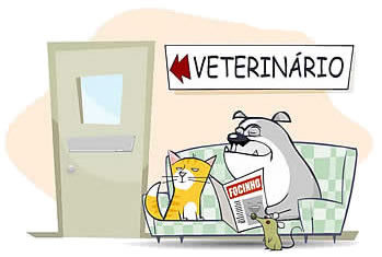 [veterinario.jpg]