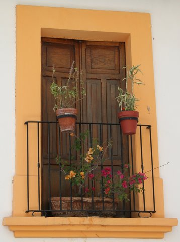 [Mexican+door+with+plants.jpg]