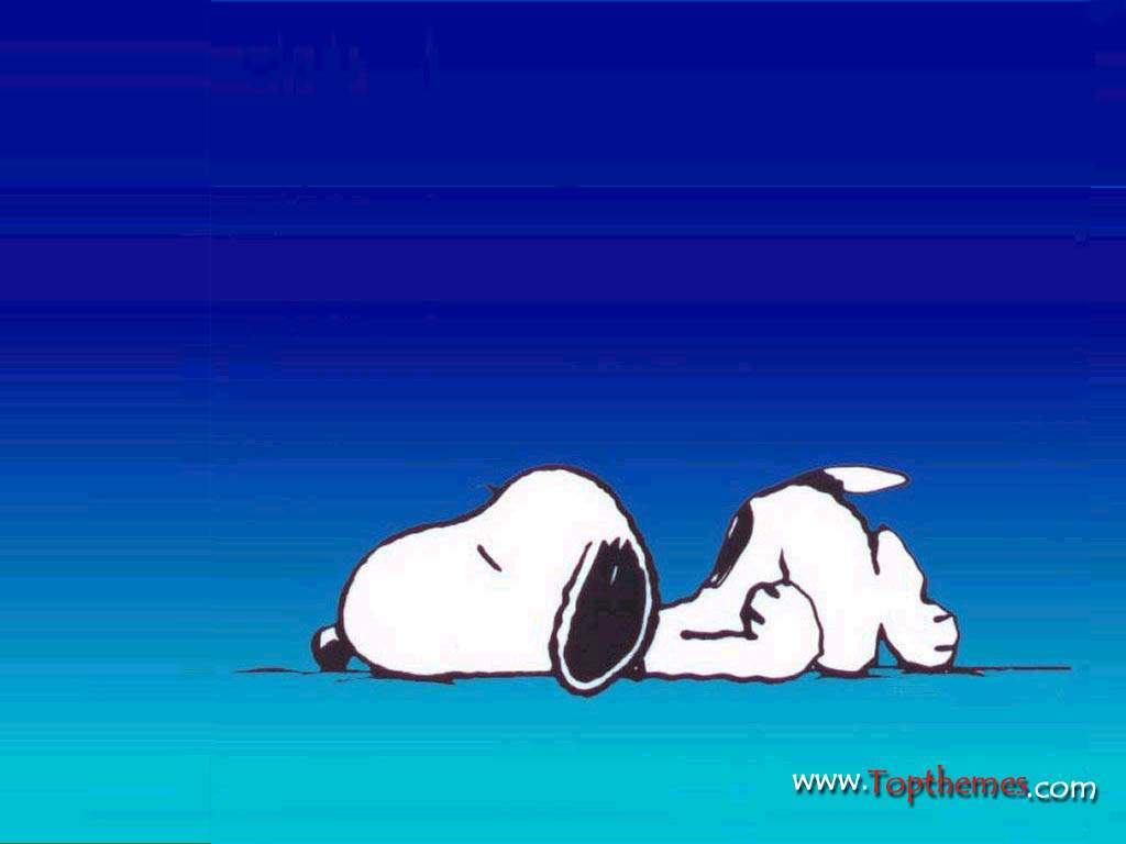 [Snoopy+Sleeping.JPG]
