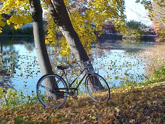 [Autumn+Bike.JPG]