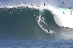 The Great "El Buey" Wave