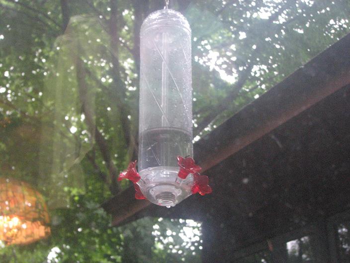 [hummingbird+feeder.JPG]