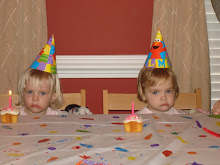 The twins second birthday