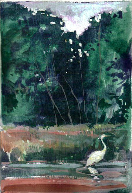 [Egret+in+Huntley+Meadows+Wetlands.jpg]