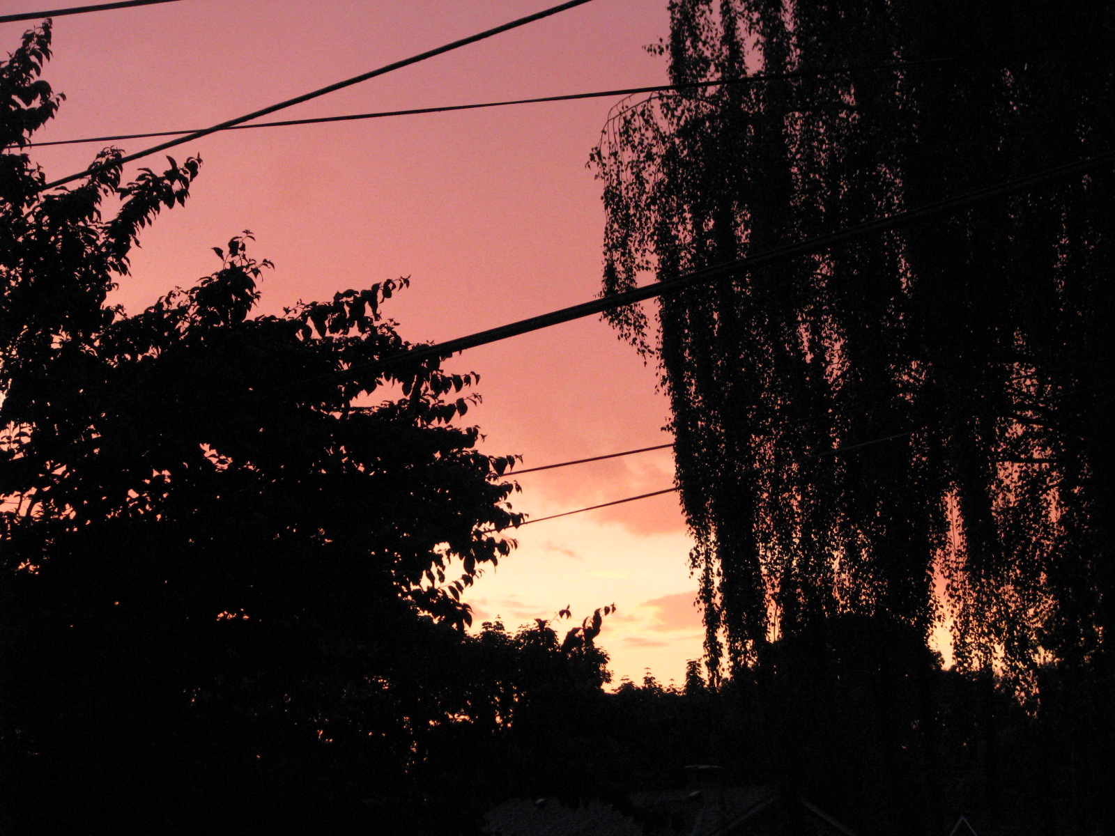 [SunsetBeforeStorm.JPG]