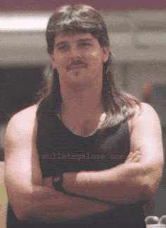 [classic+mullet.gif]