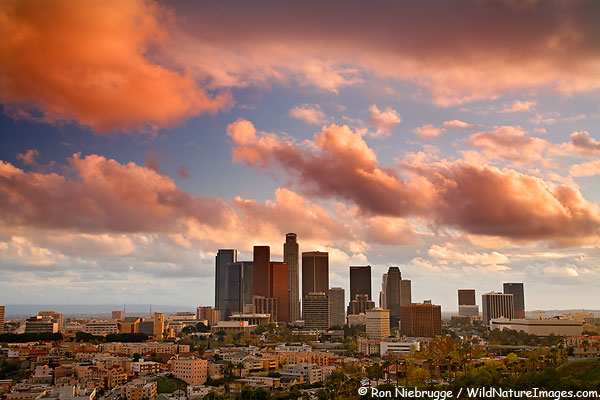[Los+Angeles+skyline.jpg]
