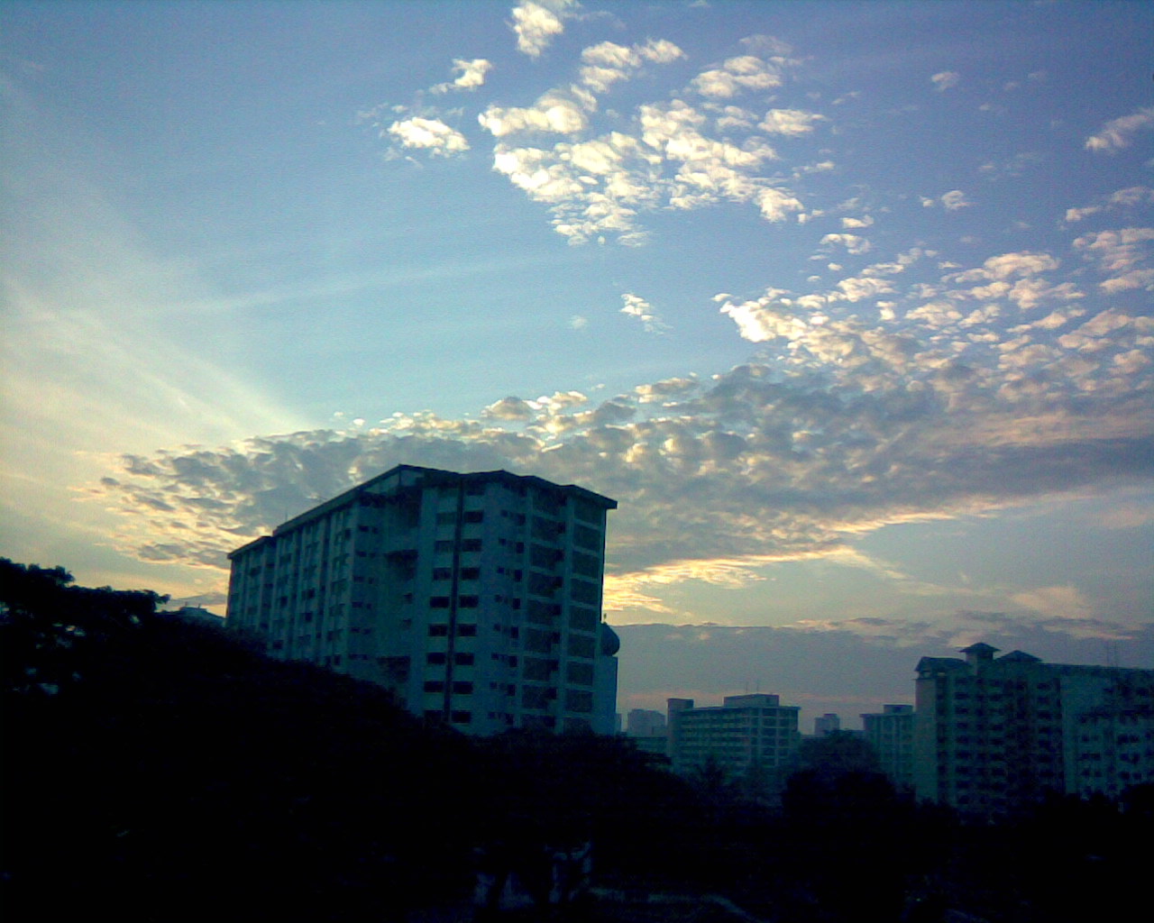 [Morning+Sun.jpg]