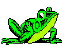 [Frog+7.JPG]