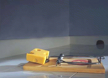 [15807082.MiceionImpossible[1].gif]