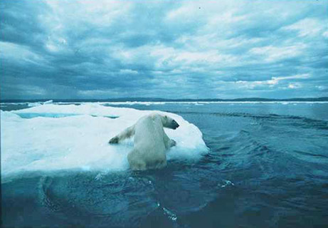 [060921-polar-bears_big.jpg]