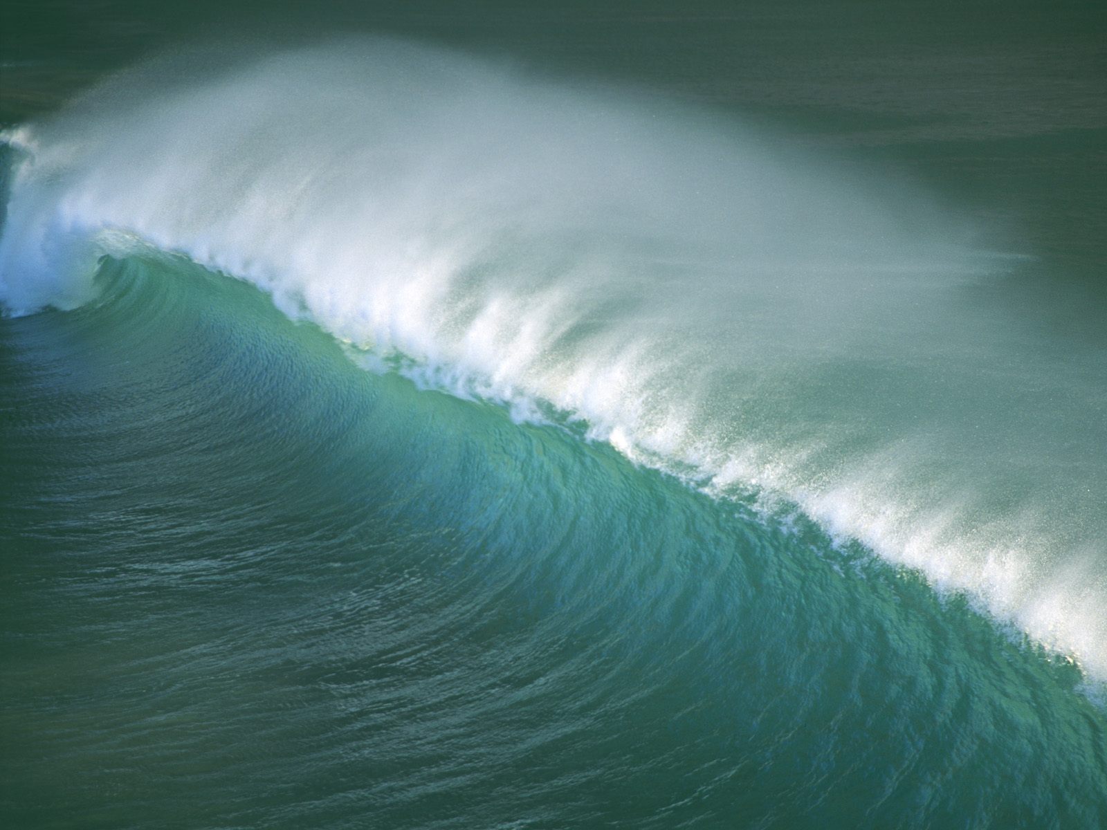 [ocean+waves.jpg]