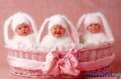 [Easter_Babies.jpg]