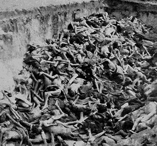 [Auschwitz_corpses.jpg]
