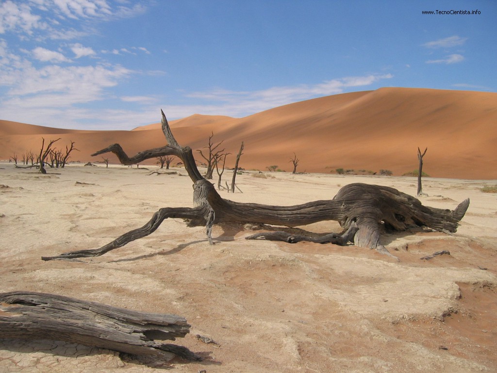 [Desert_Nature.jpg]