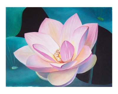 [Japanese-Lotus-flower-Sikinka-Poster-C12009916.jpeg]