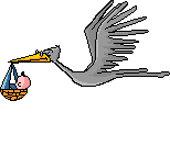 [flying_stork.gif]