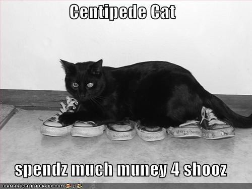 [centipede-cat-shoes.jpg]