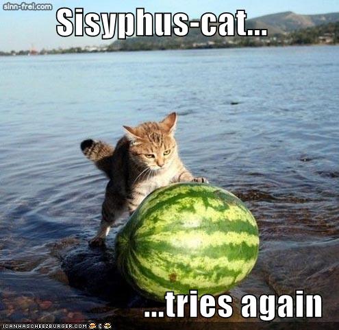 [sisyphus+cat.jpg]
