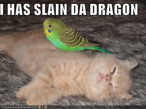 [slay+the+dragon.jpg]