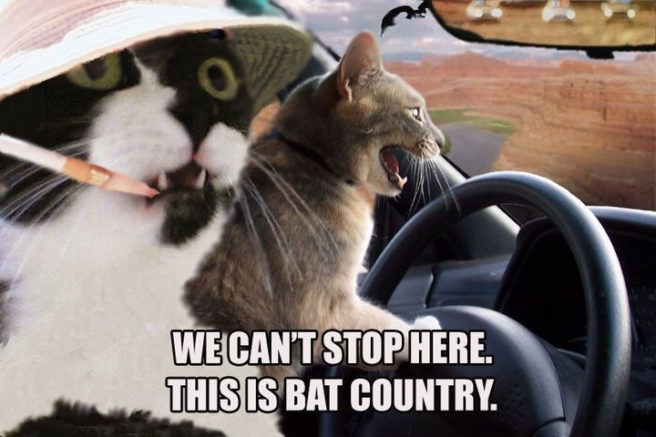 [bat+country.jpg]