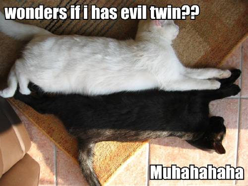 [wonders-if-i-has-evil-twin-muhahahaha.jpg]