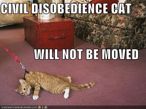 [civil+disobedience+cat.jpg]