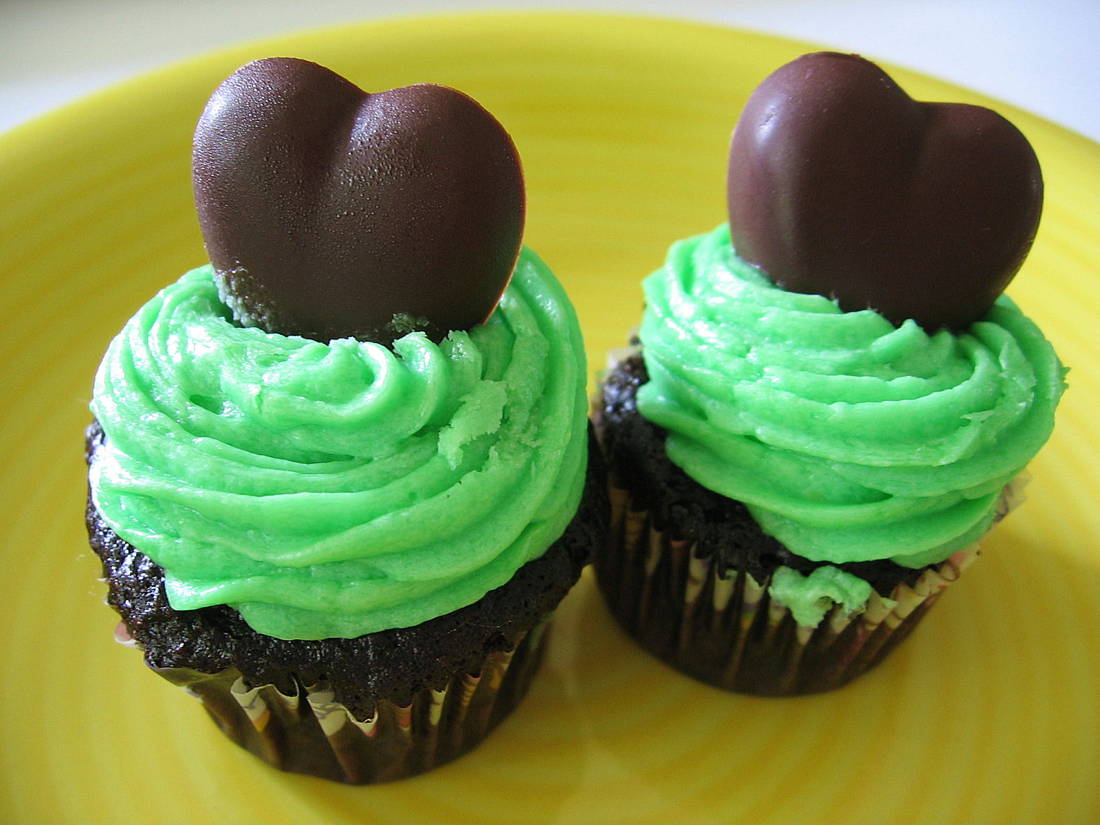 [Mint+Chocolate+Cupcakes.jpg]