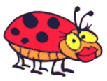 [ladybug-cartoon.gif]