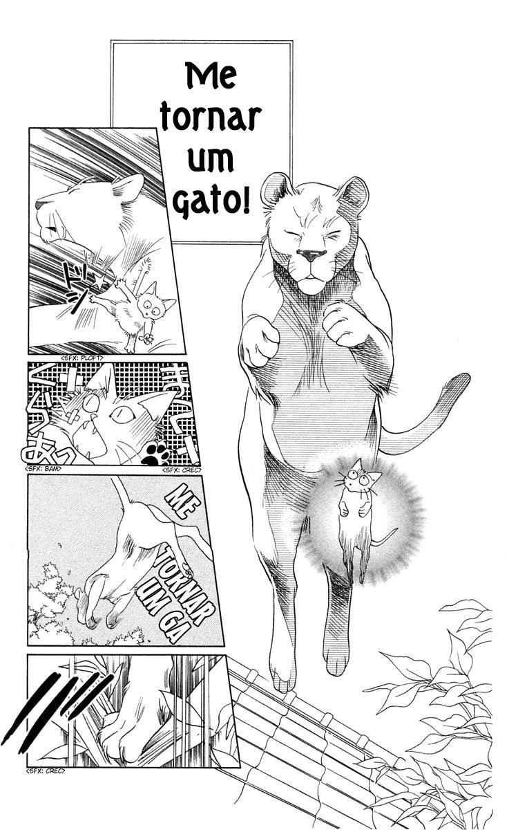 [WILD+CATS+015.JPG]
