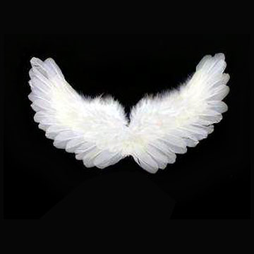 [Feather_Angel_Wings.jpg]