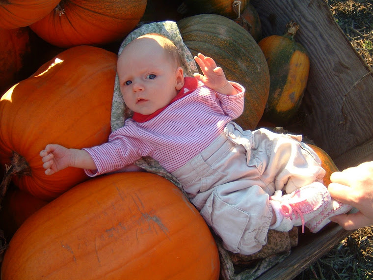 My First Trip to the Pumpkin Patch