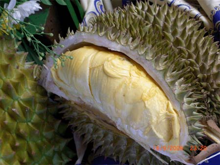 [durian fruit.jpg]