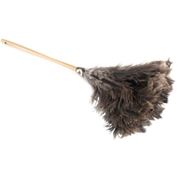 [feather+duster.jpg]