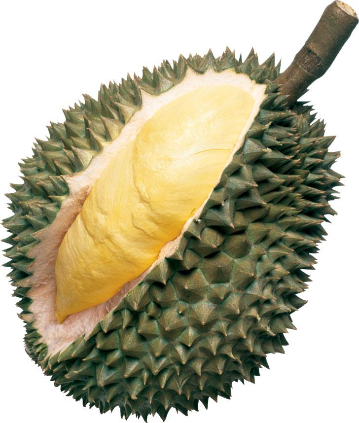 [durian%201.jpg]