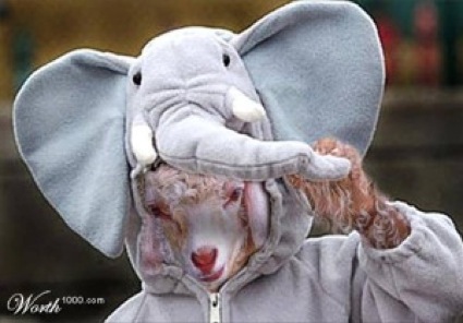 [sheep-in-elephants-clothes.jpg]