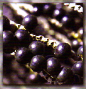 [berries.jpg]